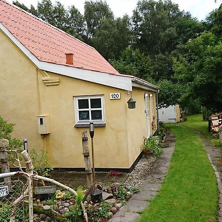 Tjaerbyvejens Sleep-Over Hotel Randers Kültér fotó